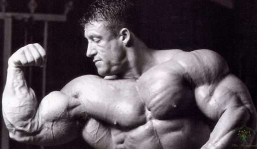 Набор мышечной массы. 11 практических советов