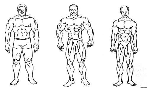 Диета для представителей эндоморфического типа телосложения