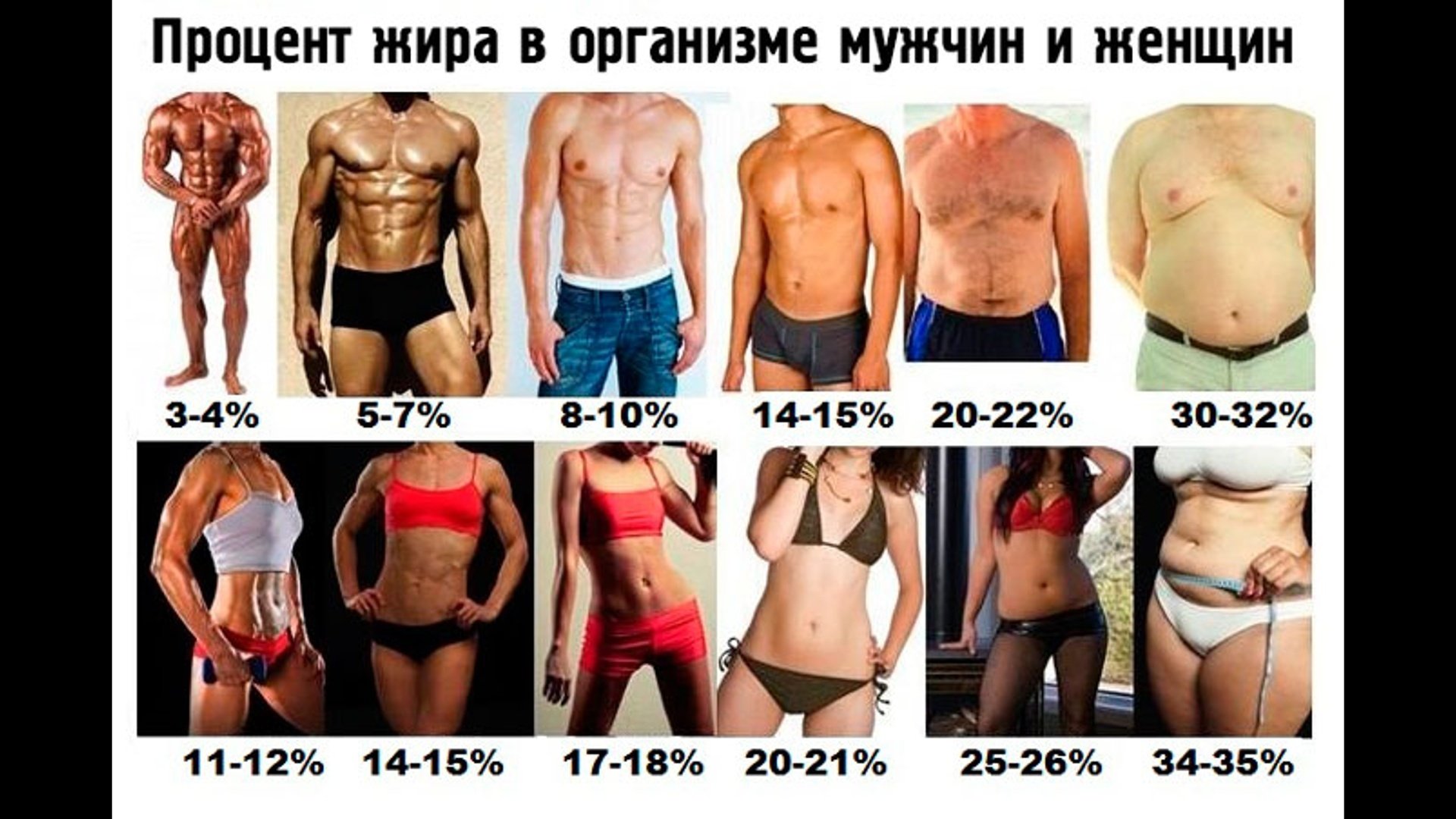 Процент жира у мужчин и женщин 🌟 Фитнес и тренировки — Школа Здоровья Михаила Титова