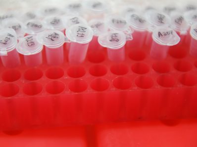 Новые исследования показывают вред вакцины 1 Новые Исследования Показывают Вред Вакцины